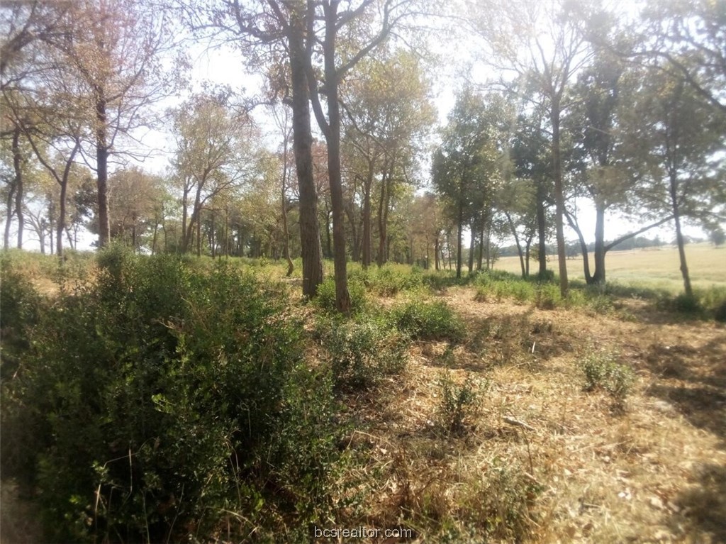 Tbd Pr 1311 Property Photo 16