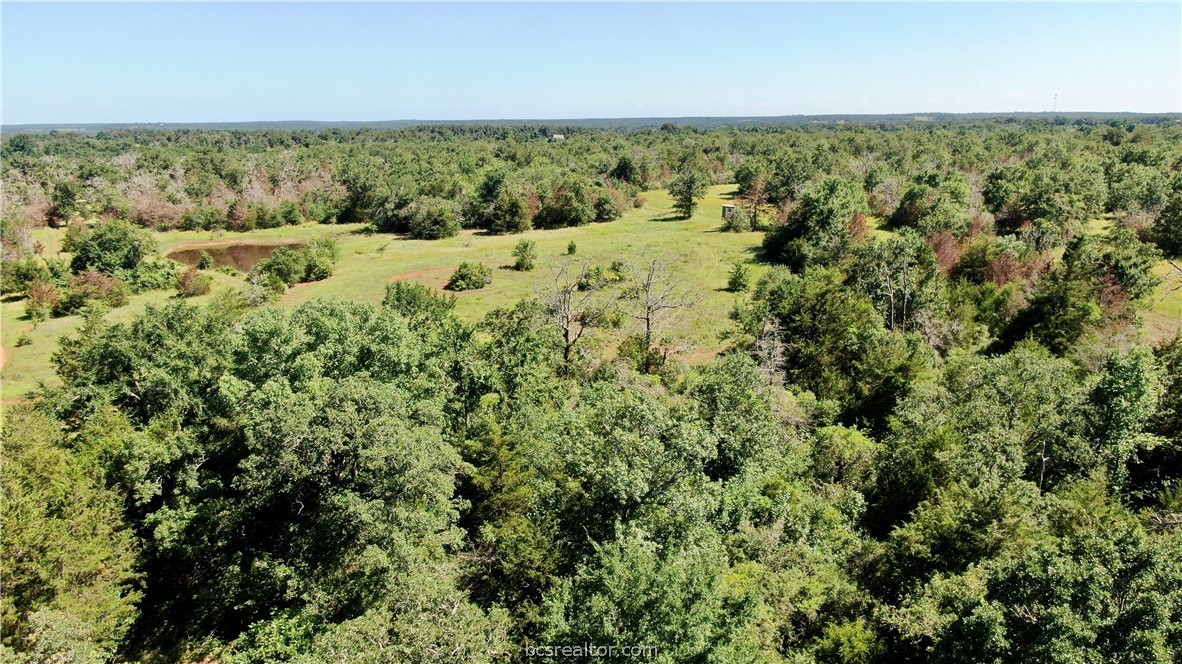 1949 County Road 347 Loop Property Photo 5