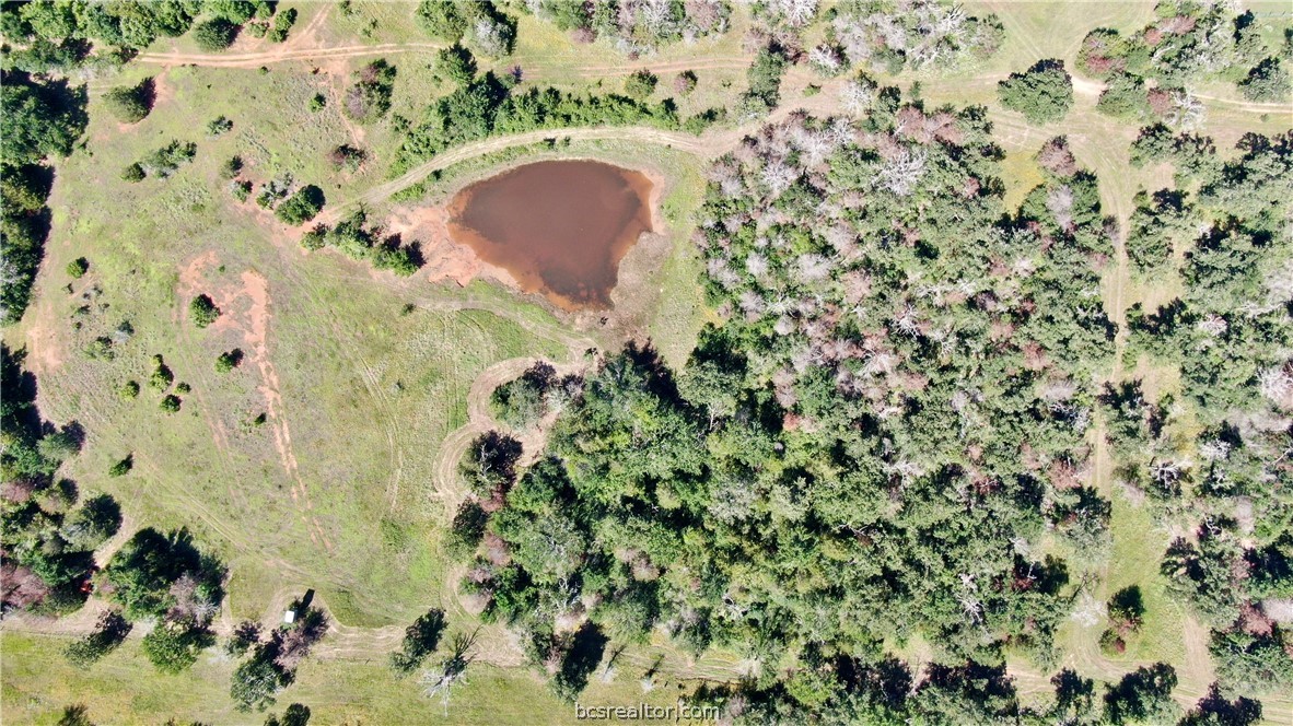 1949 County Road 347 Loop Property Photo 6