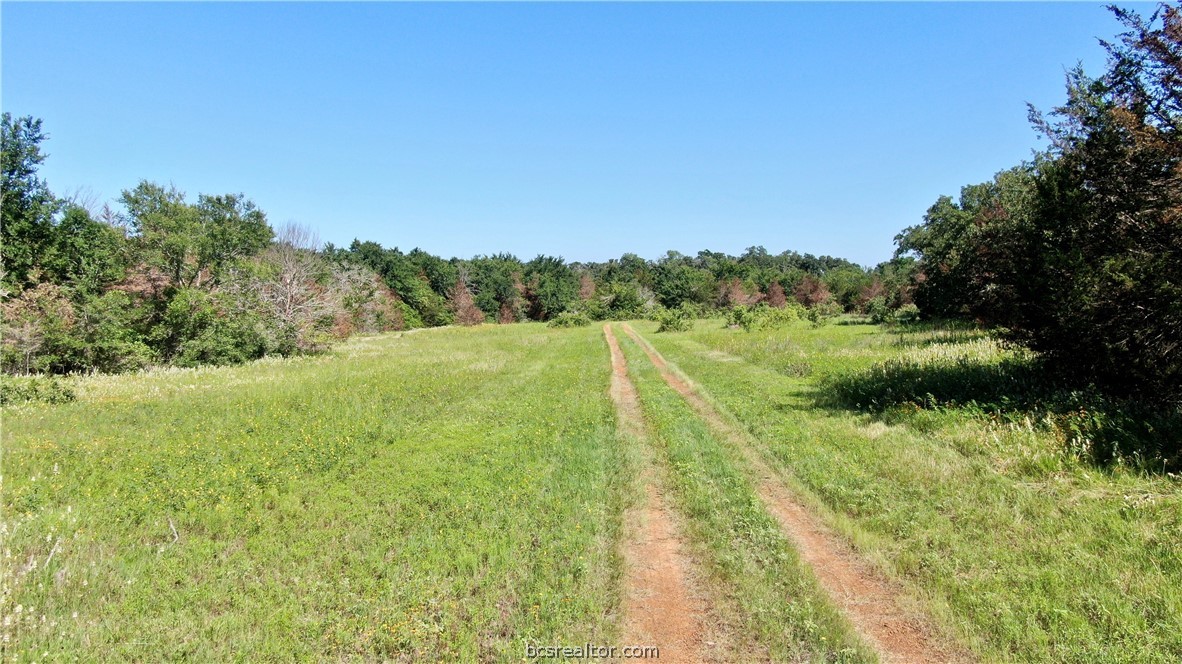 1949 County Road 347 Loop Property Photo 19