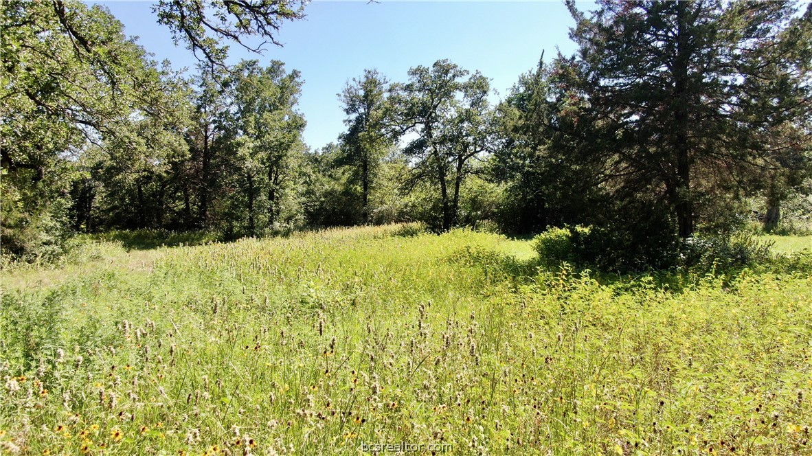 1949 County Road 347 Loop Property Photo 20