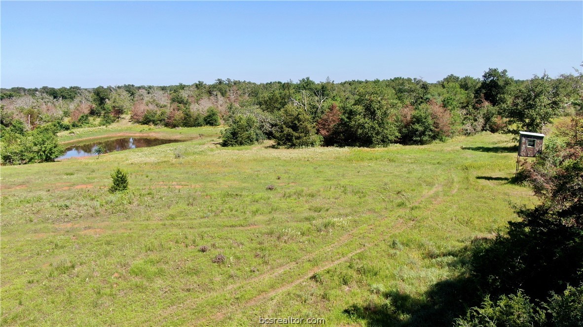 1949 County Road 347 Loop Property Photo 21
