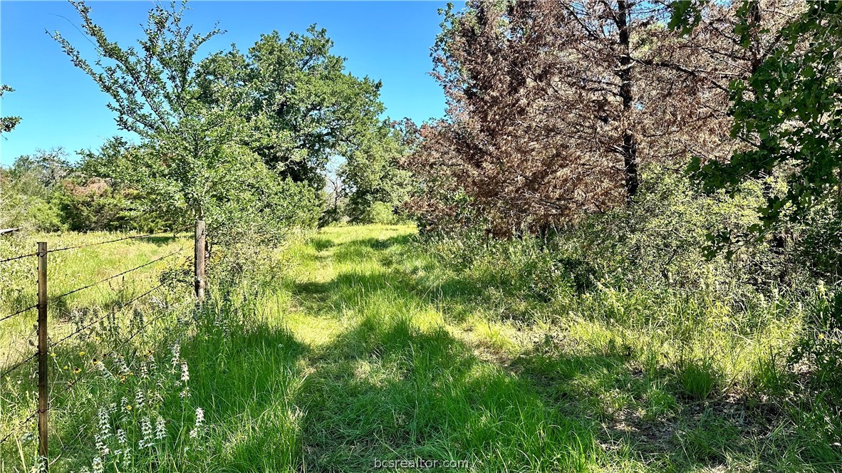 1949 County Road 347 Loop Property Photo 23