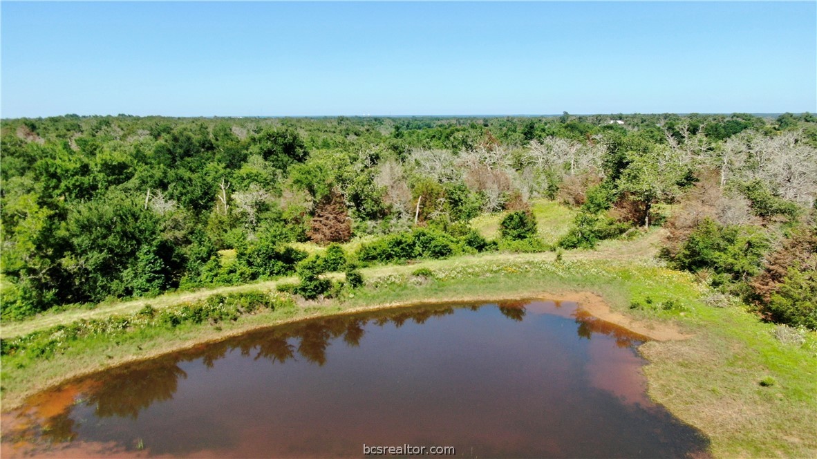 1949 County Road 347 Loop Property Photo 24