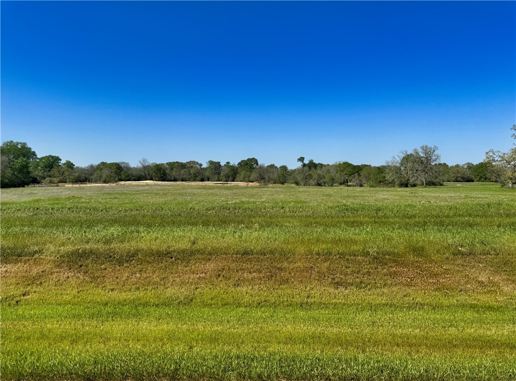 10078 Hidden Pond Drive Property Photo 1