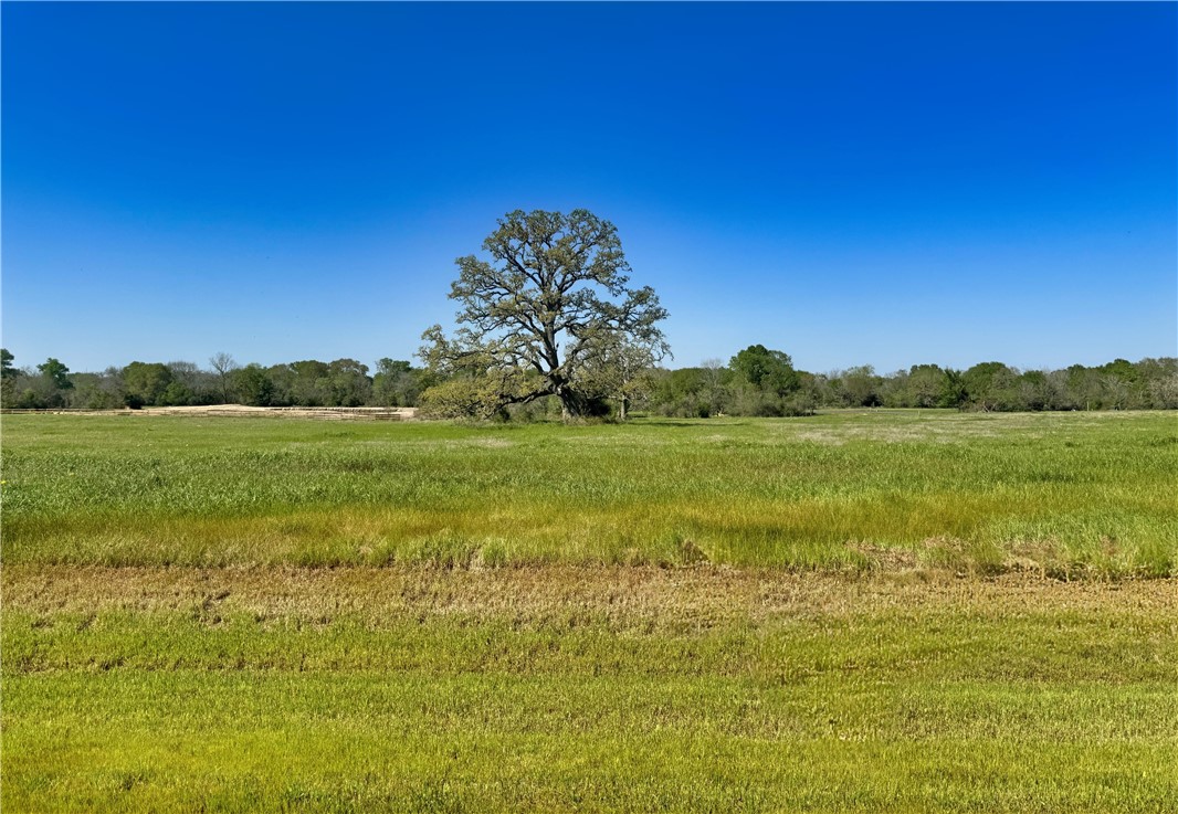 10022 Hidden Pond Drive Property Photo 1