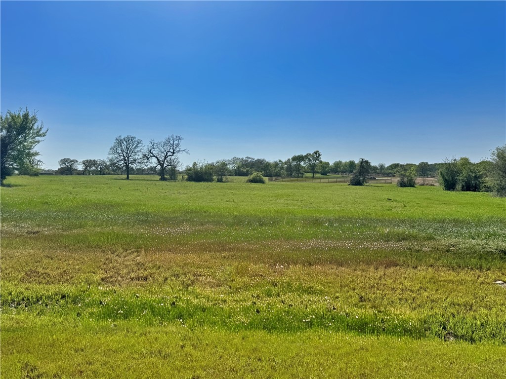 10237 Panther Creek Drive Property Photo 1