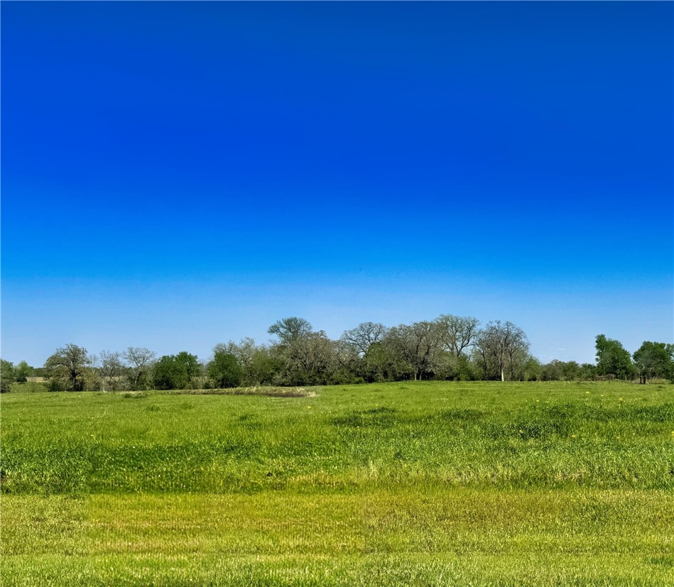 10068 Panther Creek Drive Property Photo 1