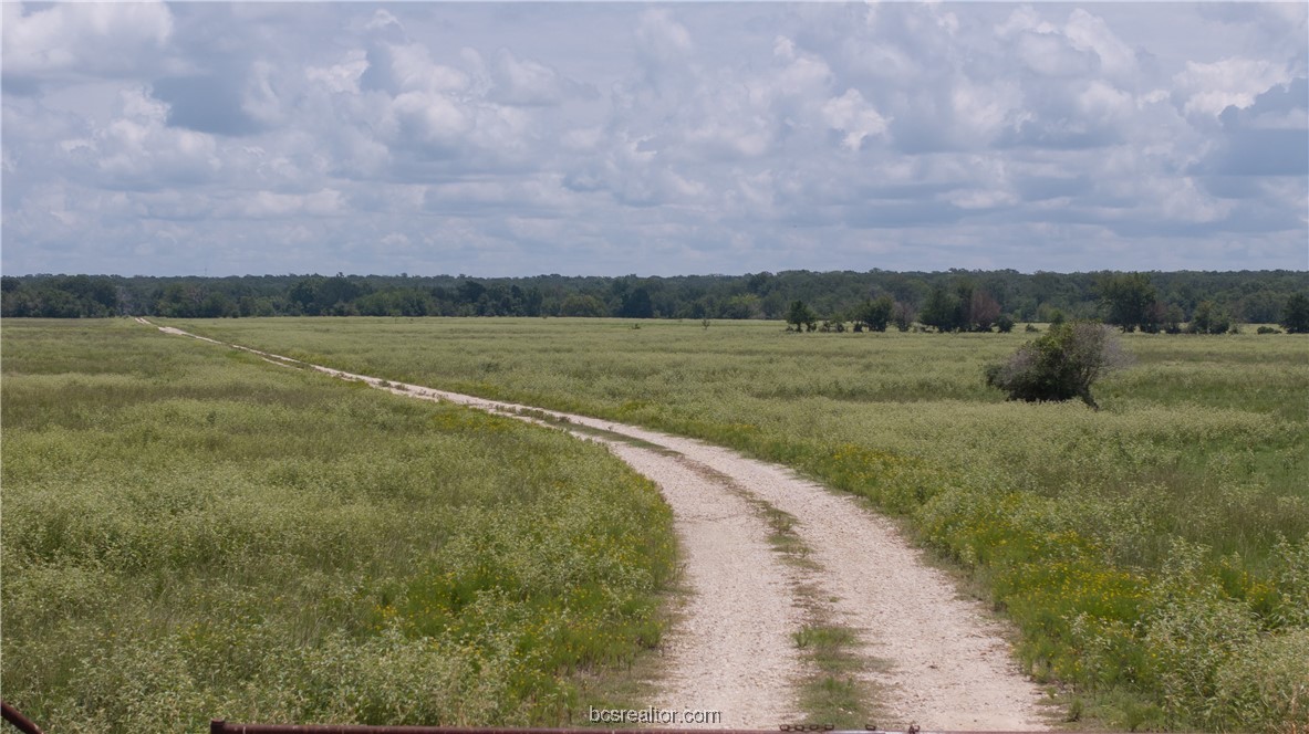 Tbd Fm-974 (tabor Rd) Property Photo 6