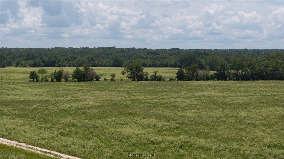 Tbd Fm-974 (tabor Rd) Property Photo 7
