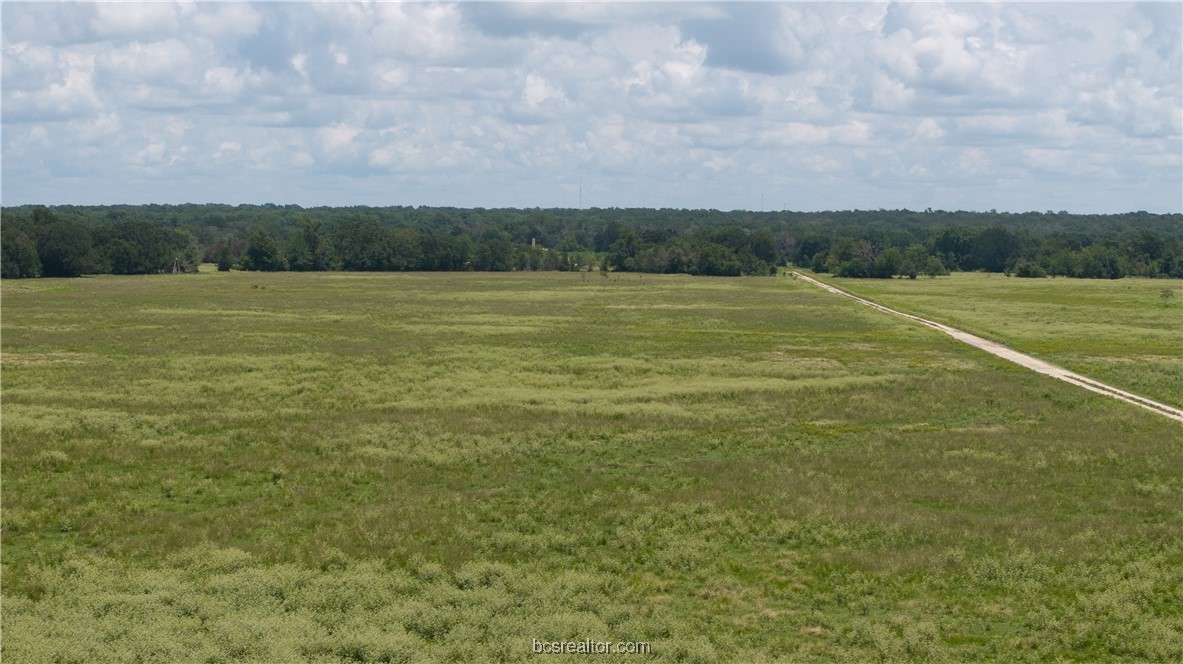 Tbd Fm-974 (tabor Rd) Property Photo 8