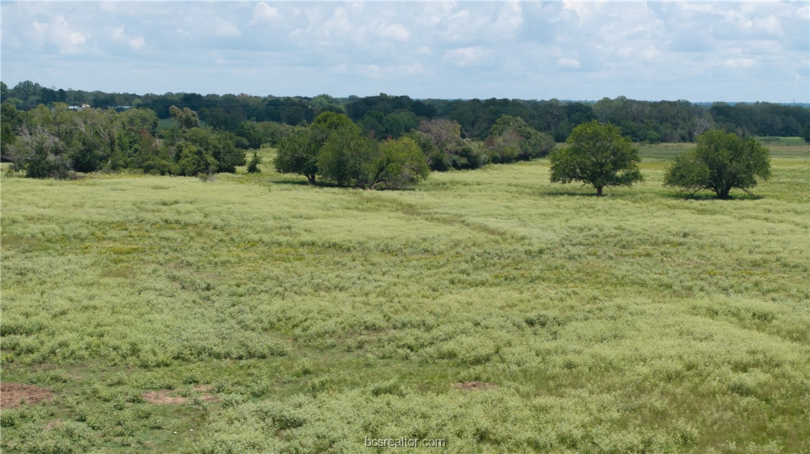 Tbd Fm-974 (tabor Rd) Property Photo 10