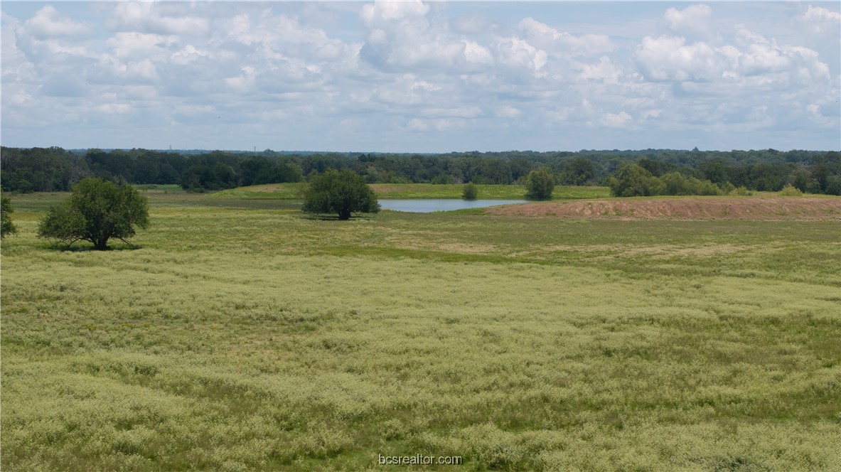 Tbd Fm-974 (tabor Rd) Property Photo 12