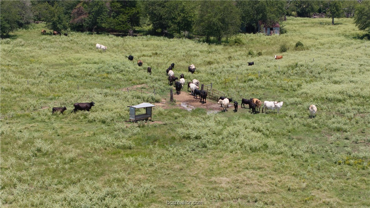 Tbd Fm-974 (tabor Rd) Property Photo 13