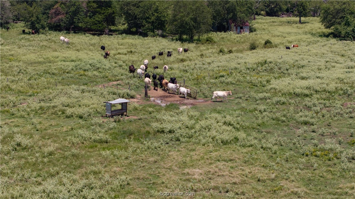 Tbd Fm-974 (tabor Rd) Property Photo 14