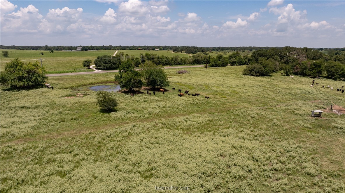 Tbd Fm-974 (tabor Rd) Property Photo 15