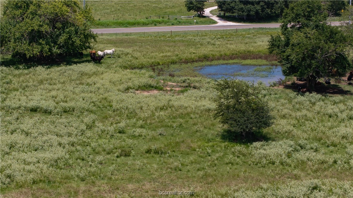 Tbd Fm-974 (tabor Rd) Property Photo 16