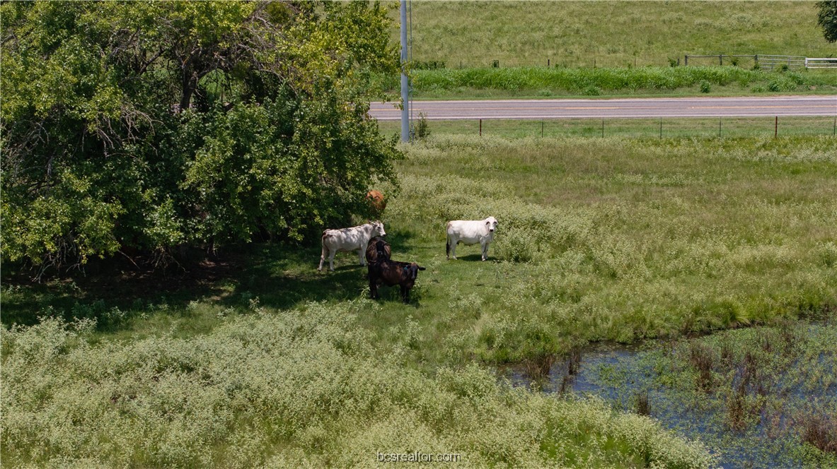 Tbd Fm-974 (tabor Rd) Property Photo 17