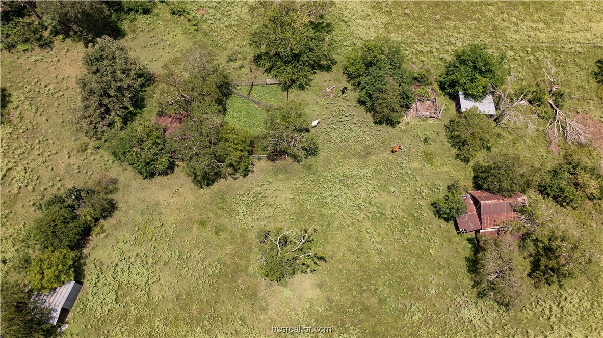 Tbd Fm-974 (tabor Rd) Property Photo 19
