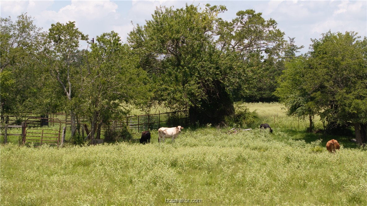 Tbd Fm-974 (tabor Rd) Property Photo 22