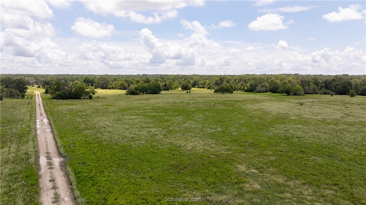 Tbd Fm-974 (tabor Rd) Property Photo 27