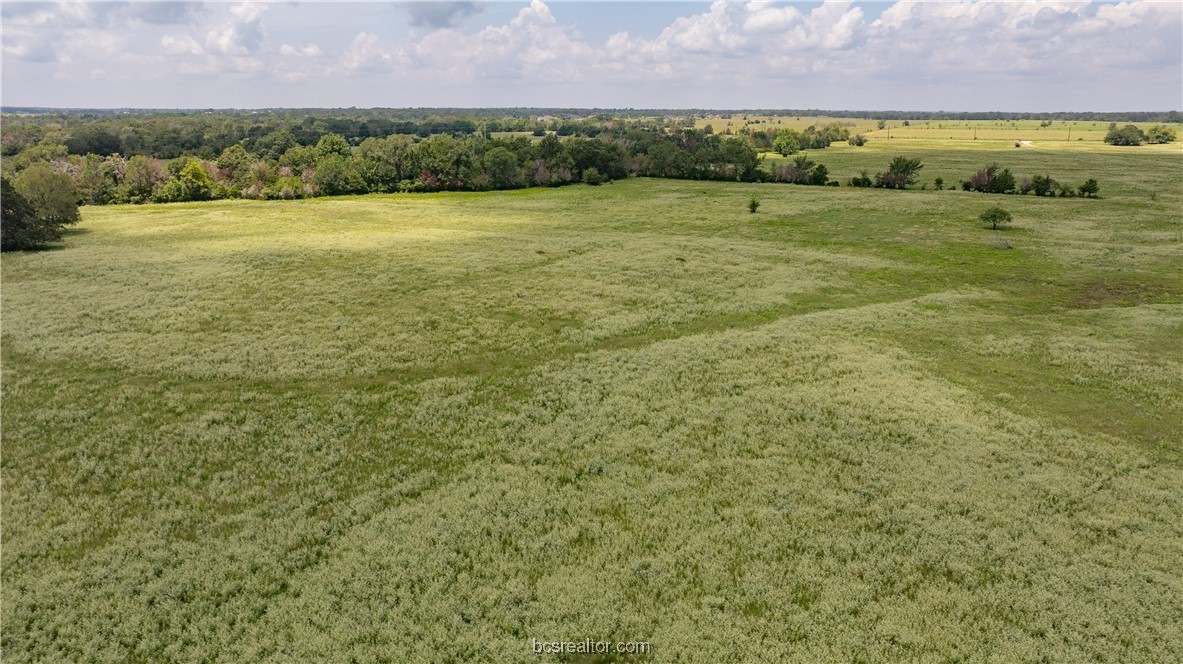 Tbd Fm-974 (tabor Rd) Property Photo 30