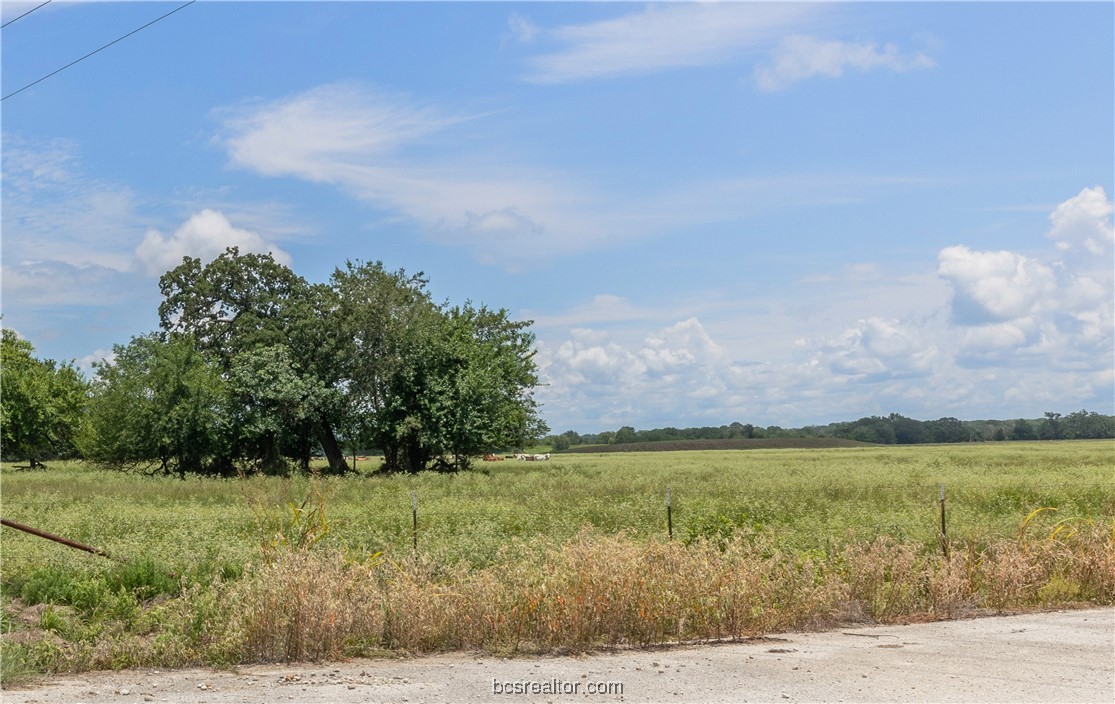 Tbd Fm-974 (tabor Rd) Property Photo 33