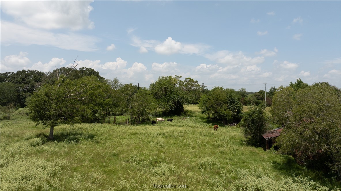 Tbd Fm-974 (tabor Rd) Property Photo 36