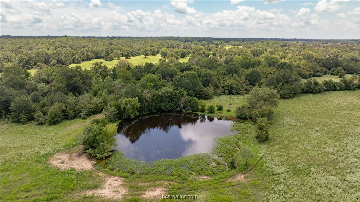 Tbd Fm-974 (tabor Rd) Property Photo 38