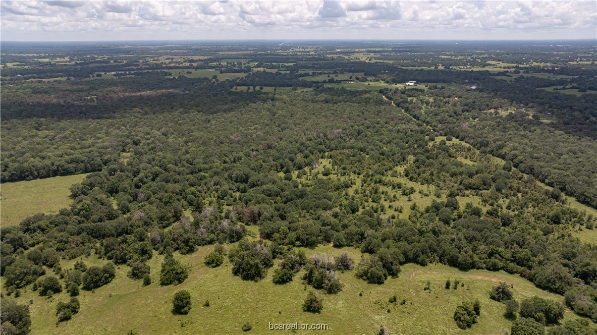 Tbd Fm-974 (tabor Rd) Property Photo 40