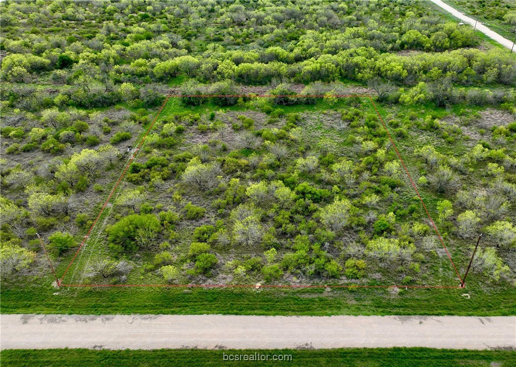 Lot 39 Pr Frio Estates Drive Property Photo 1