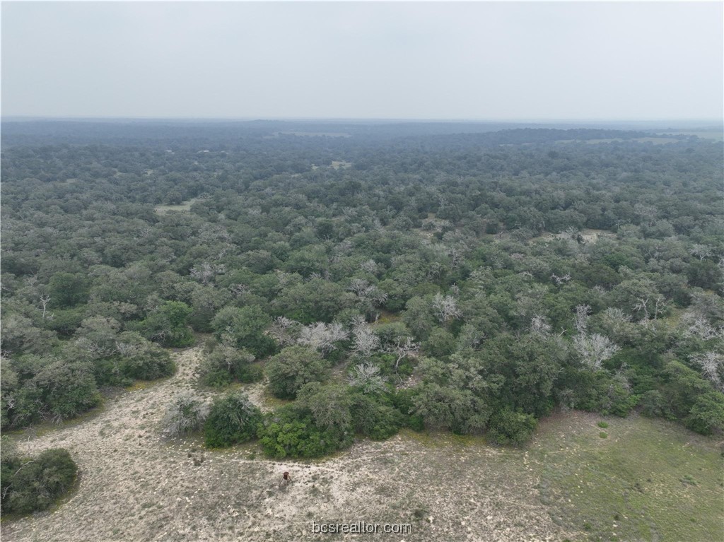 Tr 13 Private Road Property Photo 1