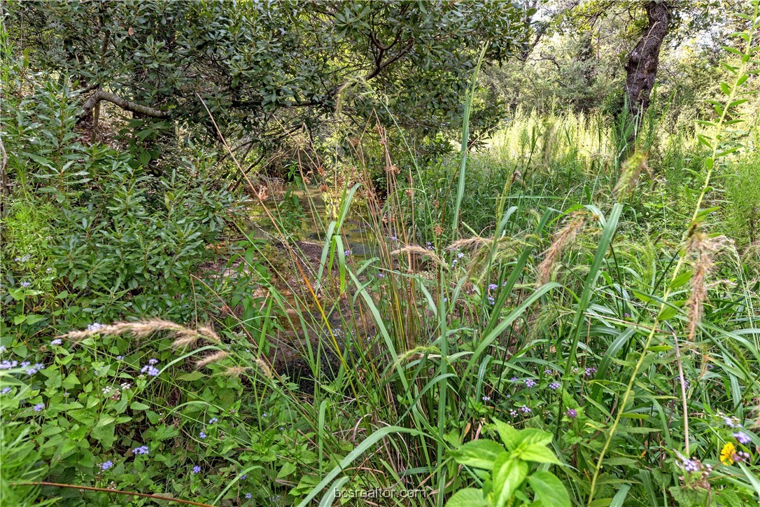 13acres Tbd County Road 331 Property Photo 4