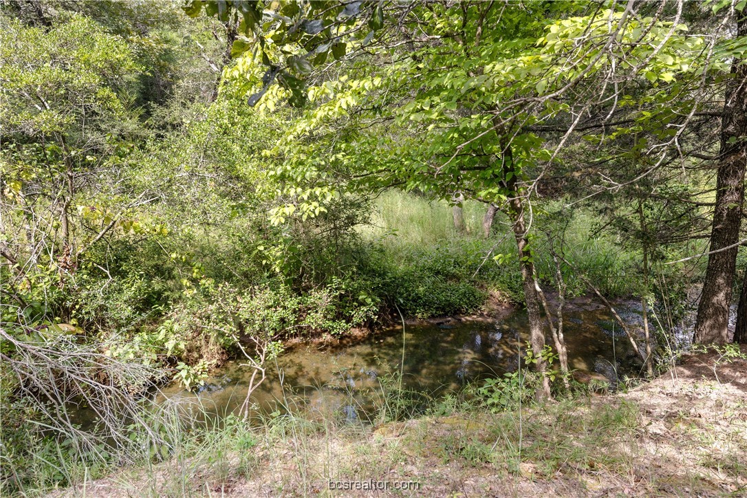 13acres Tbd County Road 331 Property Photo 5