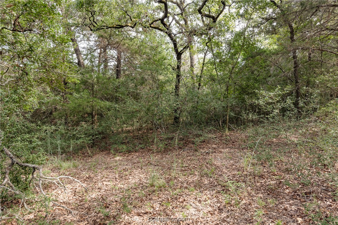 13acres Tbd County Road 331 Property Photo 6