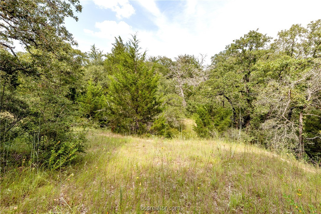 13acres Tbd County Road 331 Property Photo 7