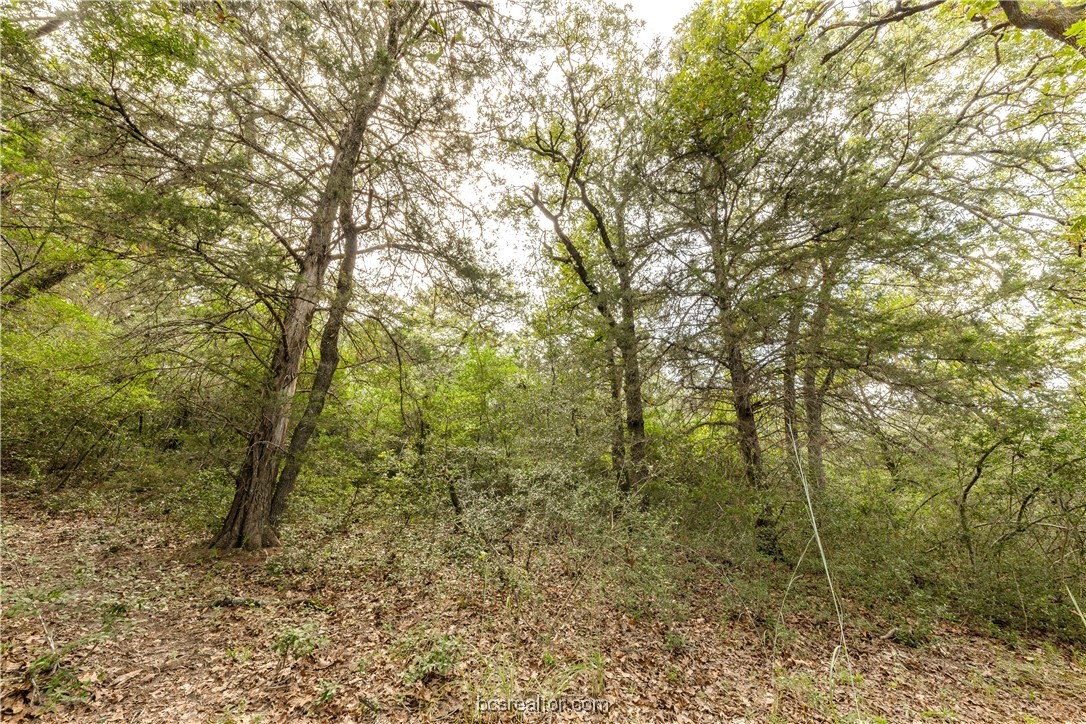 13acres Tbd County Road 331 Property Photo 9