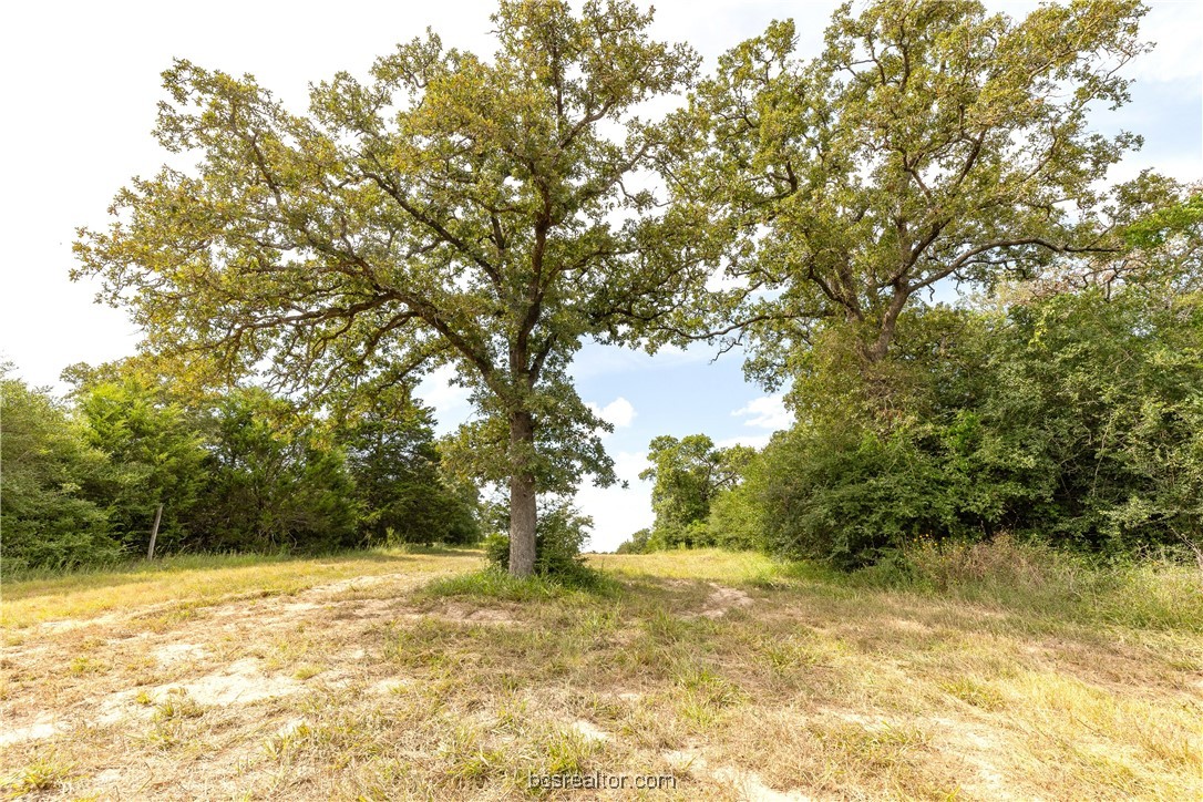 13acres Tbd County Road 331 Property Photo 10