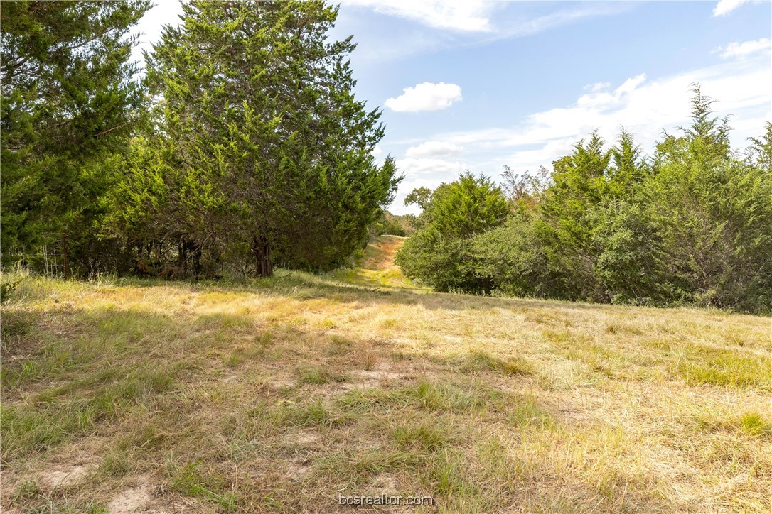 13acres Tbd County Road 331 Property Photo 13