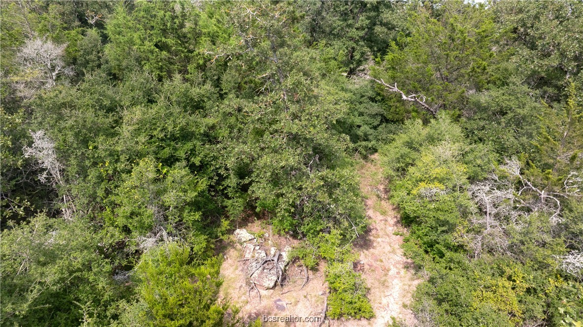 13acres Tbd County Road 331 Property Photo 14