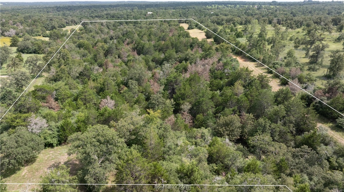 13acres Tbd County Road 331 Property Photo 18