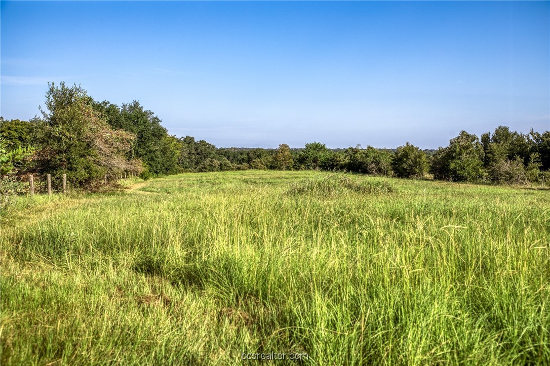 2076 County Road 127 Property Photo 25
