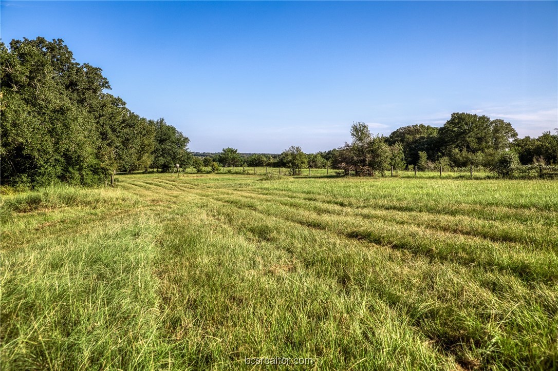 2076 County Road 127 Property Photo 40