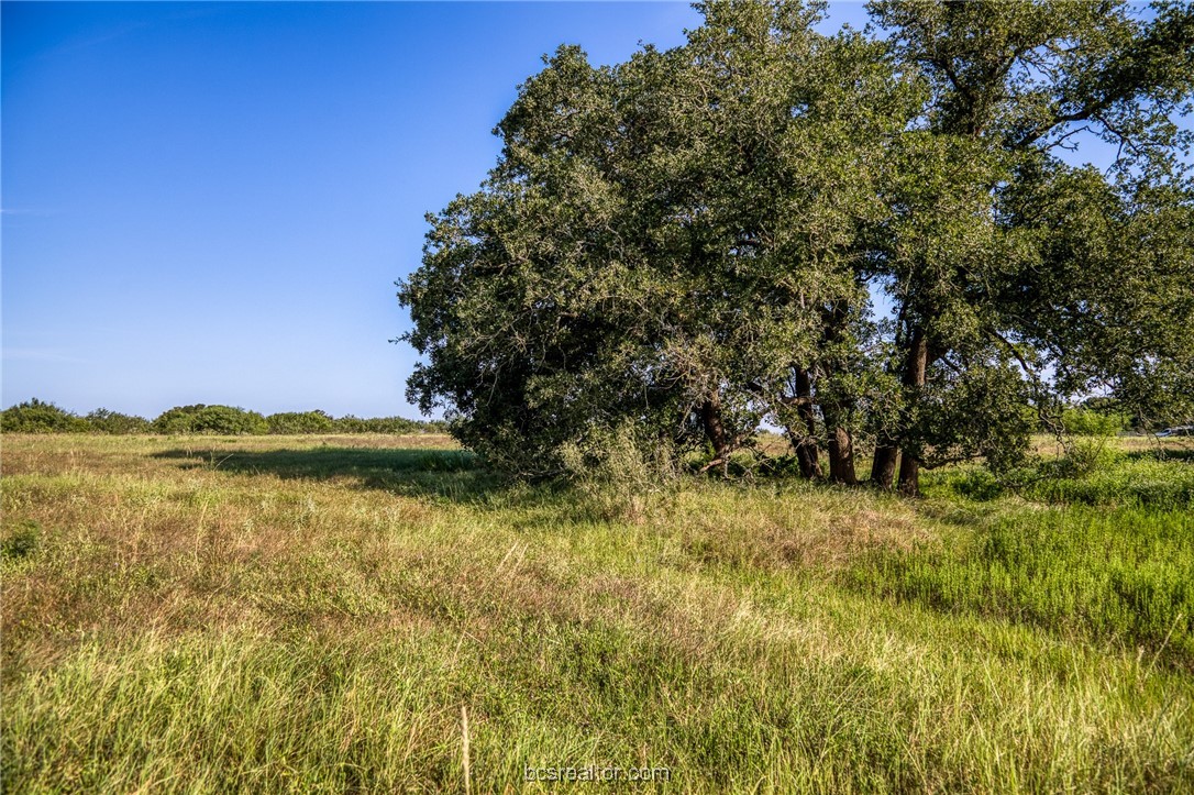 2076 County Road 127 Property Photo 41