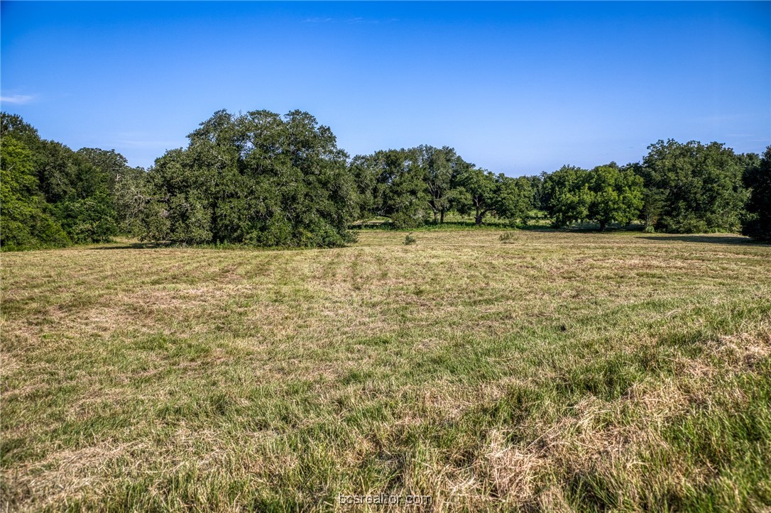 2076 County Road 127 Property Photo 42