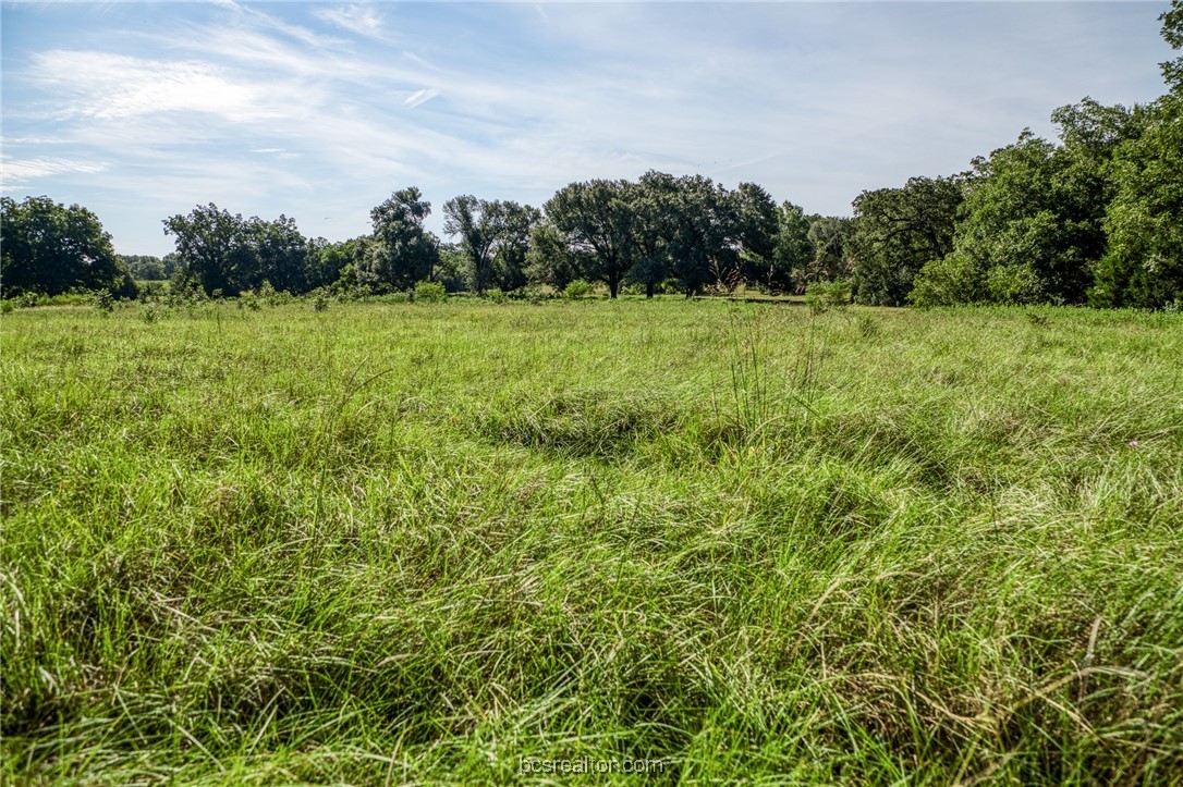 2076 County Road 127 Property Photo 44