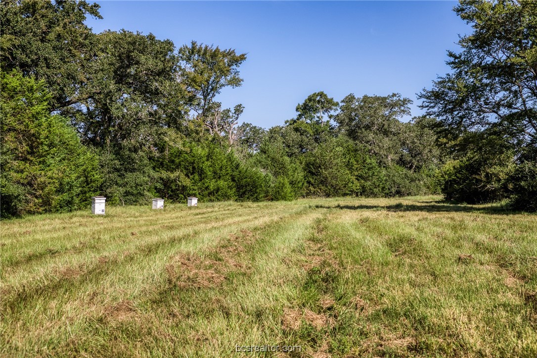 2076 County Road 127 Property Photo 45
