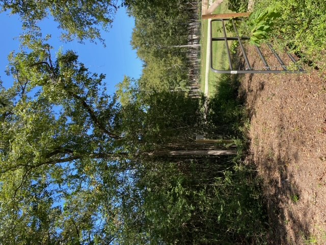 Unk Sawmill Road Property Photo 2