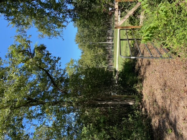 Unk Sawmill Road Property Photo 3