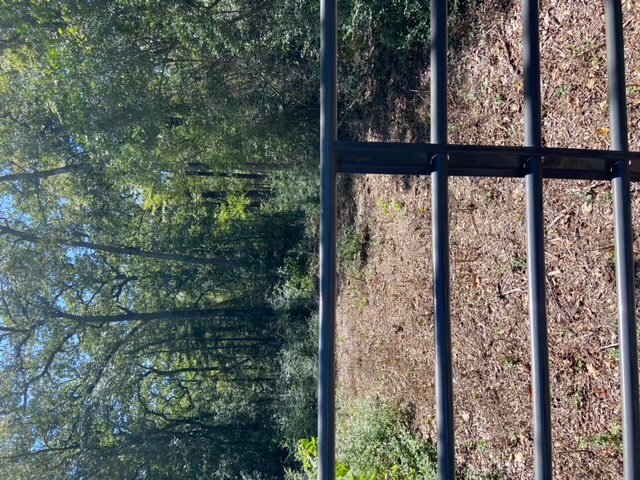 Unk Sawmill Road Property Photo 10